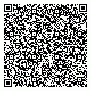 vCard 79393014531