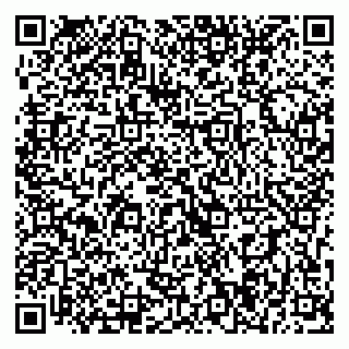 vCard 79393014603