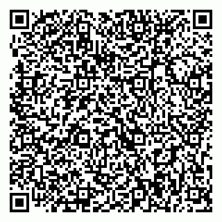vCard 79393014813