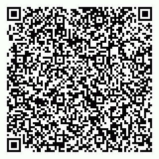 vCard 79393014863