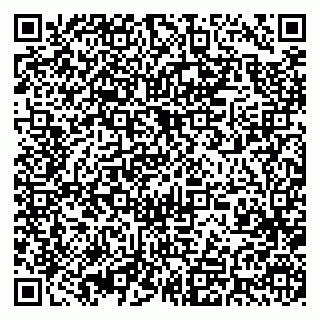 vCard 79393014891