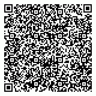 vCard 79393015041