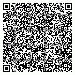 vCard 79393015101