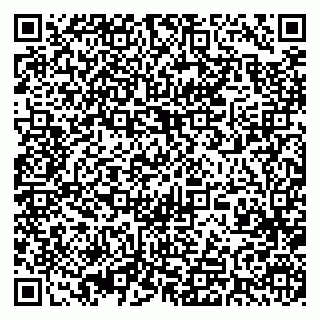 vCard 79393015111