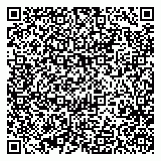 vCard 79393015204