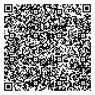 vCard 79393015213