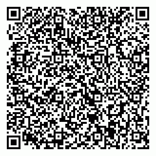 vCard 79393015345