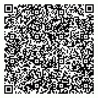 vCard 79393015408