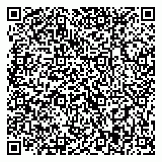 vCard 79393015411