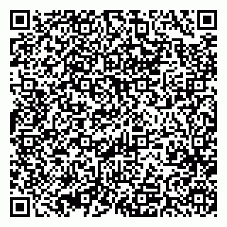 vCard 79393015420