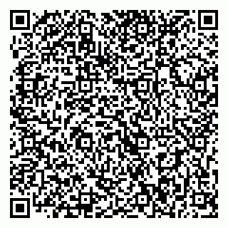 vCard 79393016003