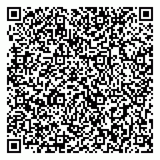 vCard 79393016020