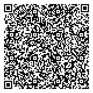 vCard 79393016301