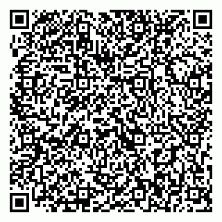 vCard 79393016401