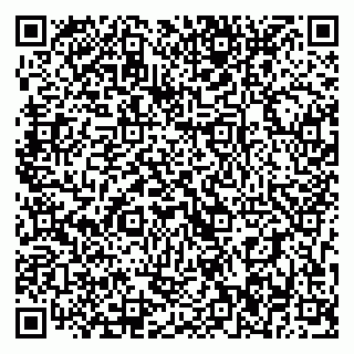 vCard 79393016501