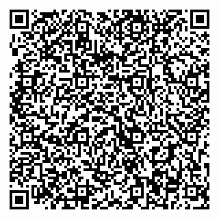 vCard 79393016529