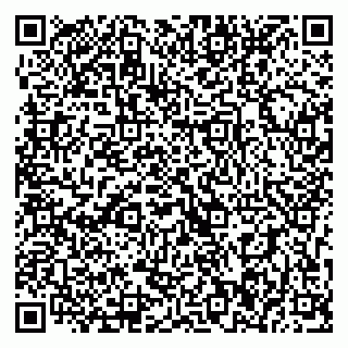 vCard 79393016600