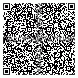 vCard 79393017061