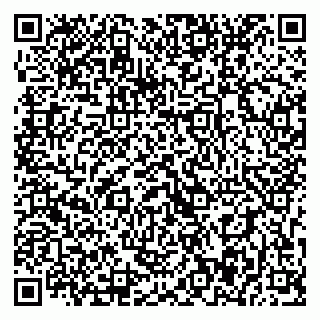 vCard 79393017062
