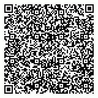 vCard 79393017068