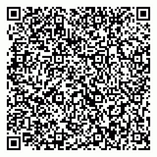 vCard 79393017133