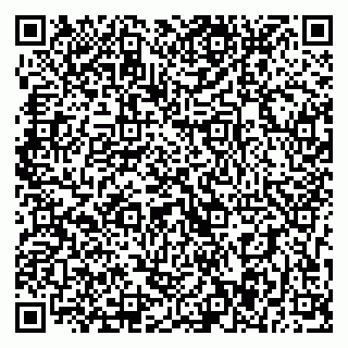 vCard 79393017203