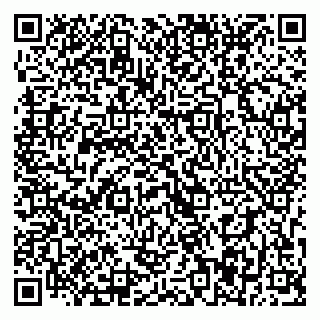vCard 79393017209