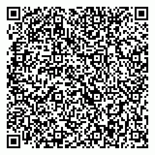 vCard 79393017231