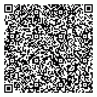 vCard 79393017233