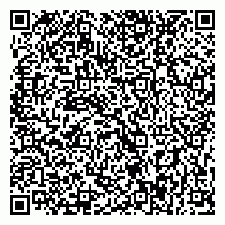 vCard 79393017285