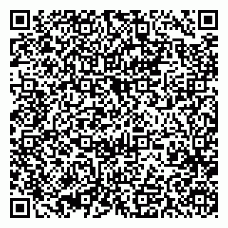 vCard 79393017294