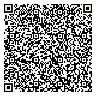 vCard 79393017297