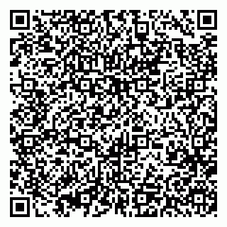 vCard 79393017299