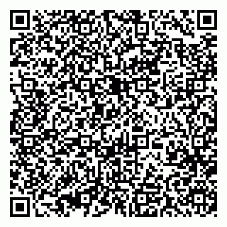 vCard 79393017314