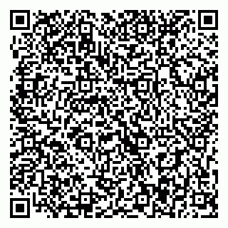 vCard 79393017321