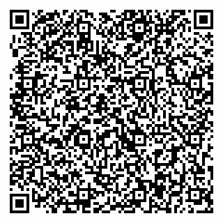 vCard 79393017341