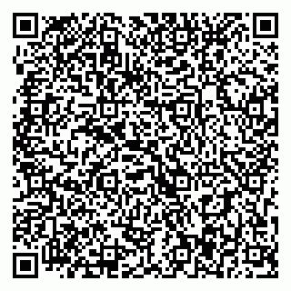 vCard 79393017351