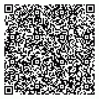 vCard 79393017370