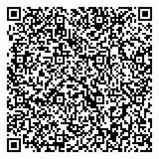 vCard 79393017391