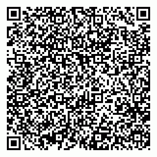 vCard 79393017409