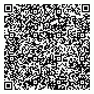 vCard 79393017410