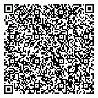 vCard 79393017485