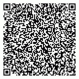 vCard 79393017502