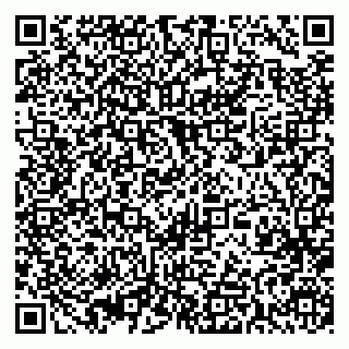 vCard 79393017513