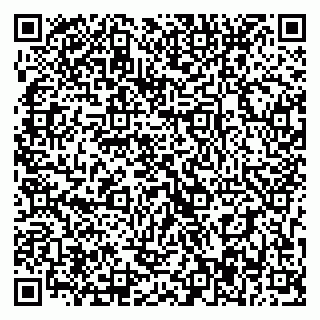 vCard 79393017525