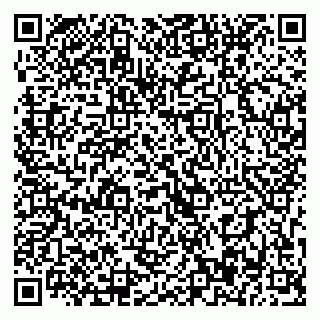vCard 79393017526