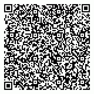 vCard 79393017541