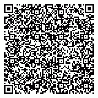 vCard 79393018417