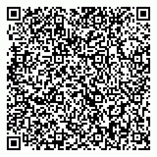 vCard 79393018531