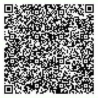 vCard 79393019213